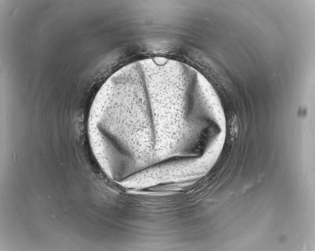 X0000093720559200711131016