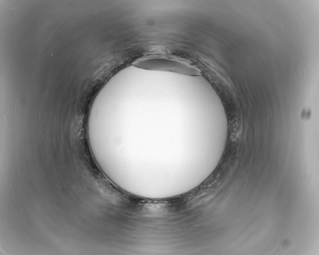 X0000093720560200711131016