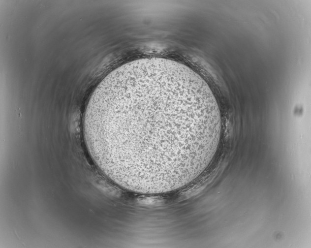 X0000093720561200711131016