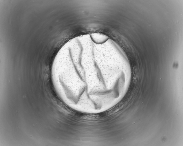 X0000093720563200711131016