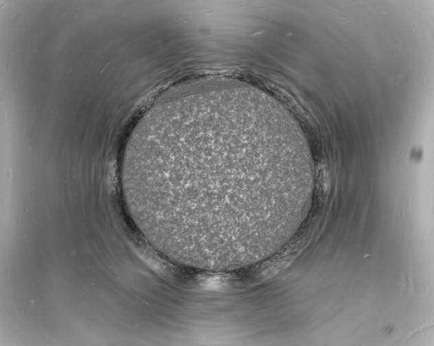 X0000093720564200711131016