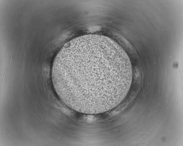 X0000093720565200711131016