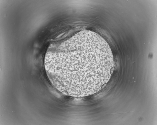 X0000093720573200711131016