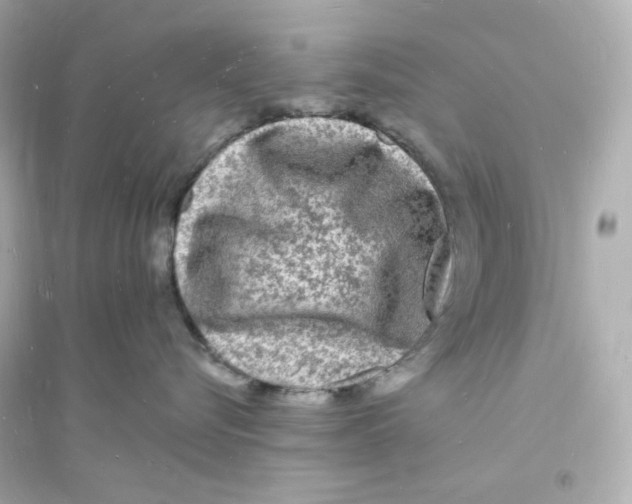 X0000093720576200711131017