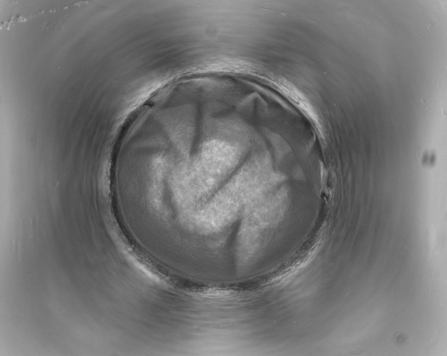 X0000093720581200711131016