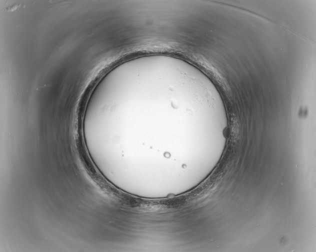 X0000093720582200711131016