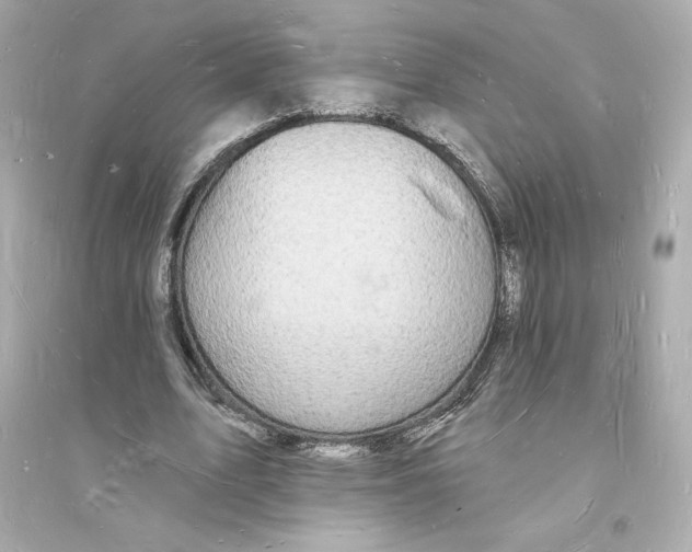 X0000093720583200711131016