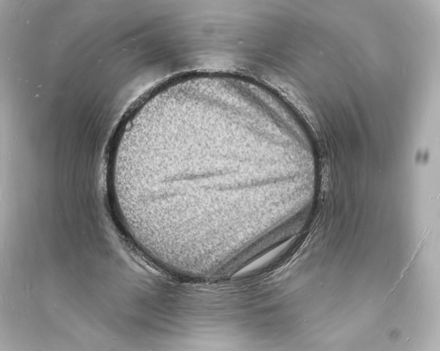 X0000093720584200711131016