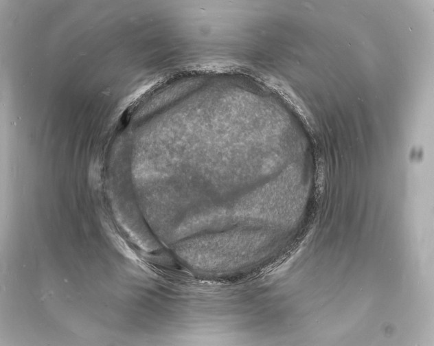 X0000093720585200711131016