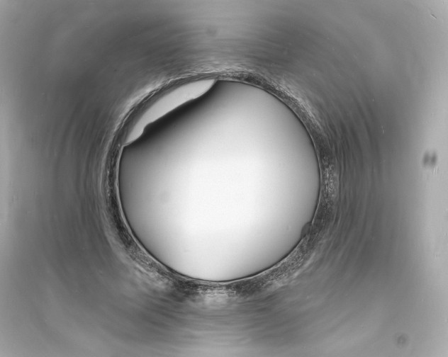 X0000093720587200711131015