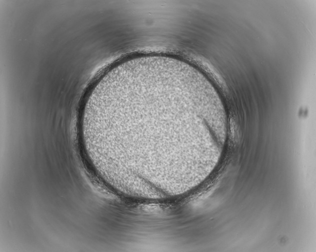 X0000093720588200711131015