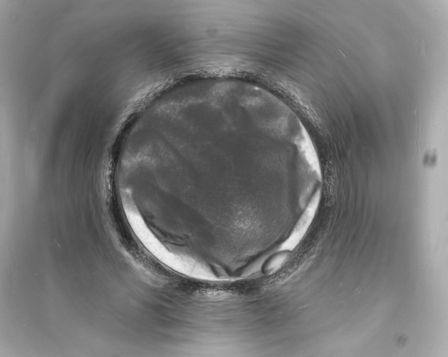 X0000093720590200711131015