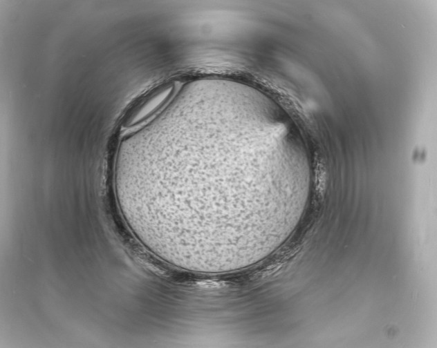 X0000093720591200711131015