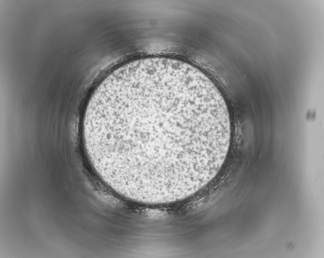 X0000093720592200711131015