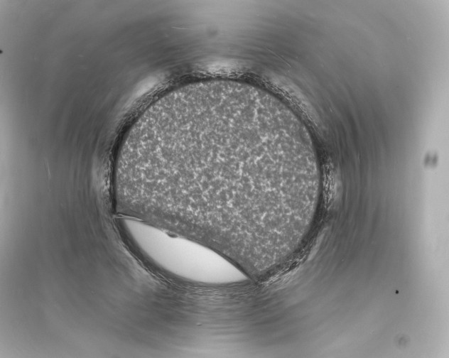 X0000093720593200711131015