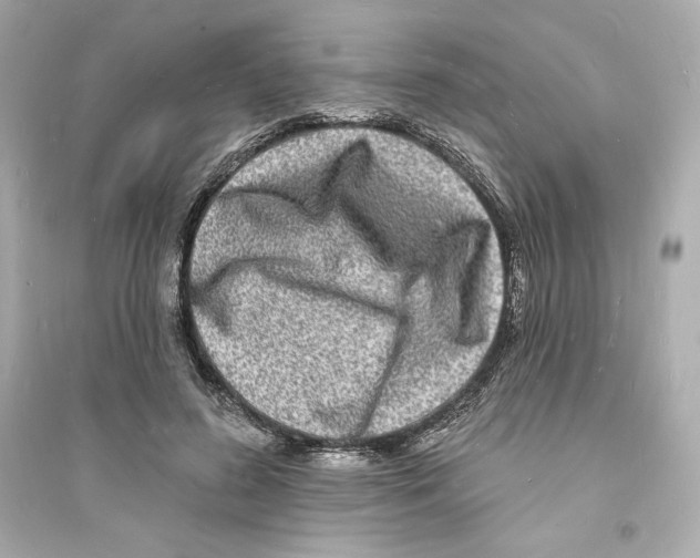 X0000093720596200711131015