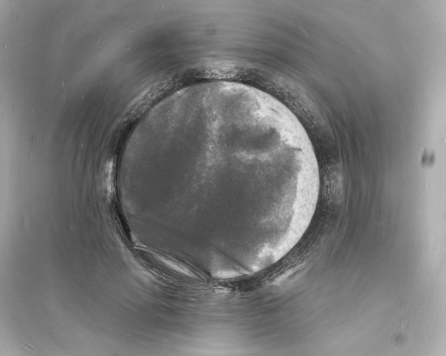 X0000093720598200711131015