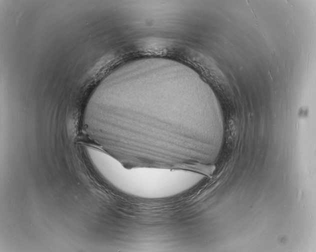 X0000093720600200711131015