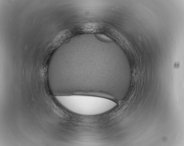 X0000093720601200711131015