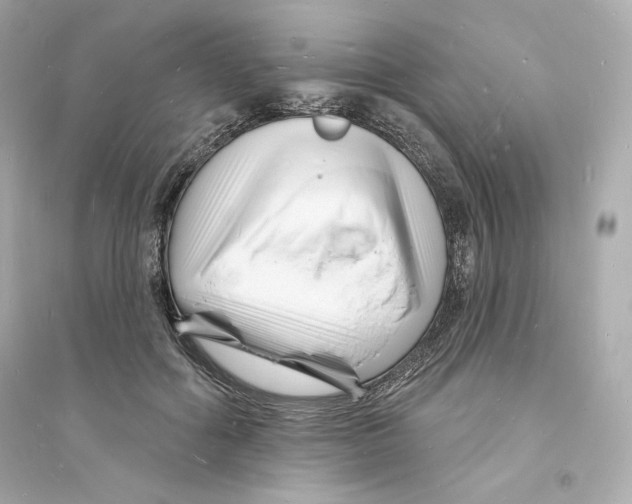 X0000093720602200711131015