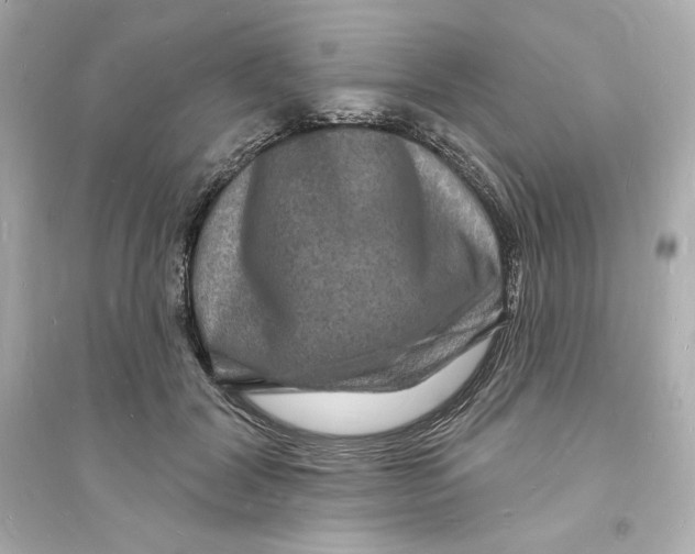 X0000093720604200711131015