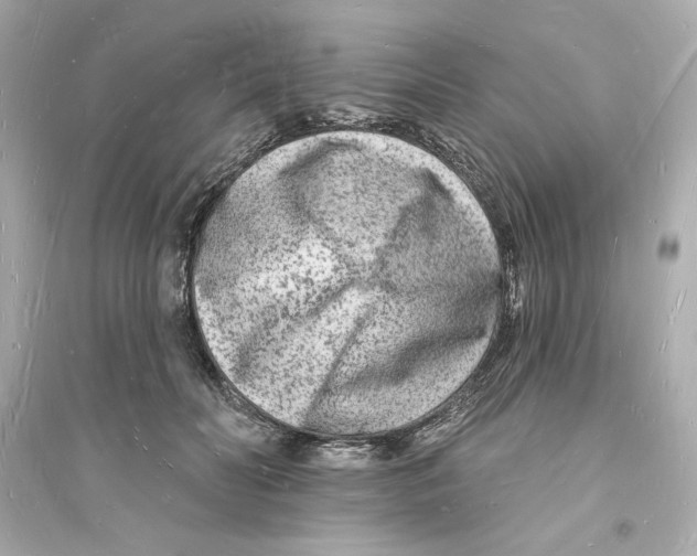 X0000093720606200711131015