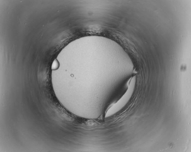 X0000093720608200711131015