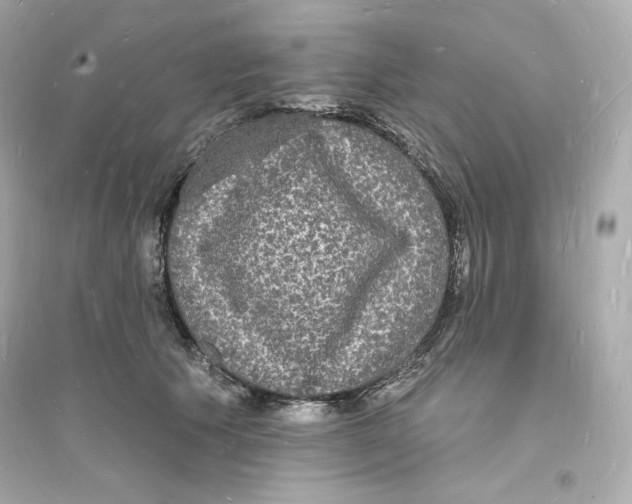 X0000093720609200711131015