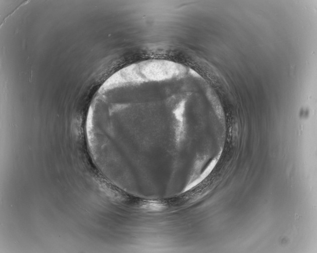 X0000093720610200711131015