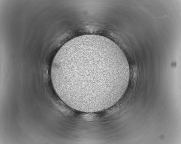 X0000093720615200711131015