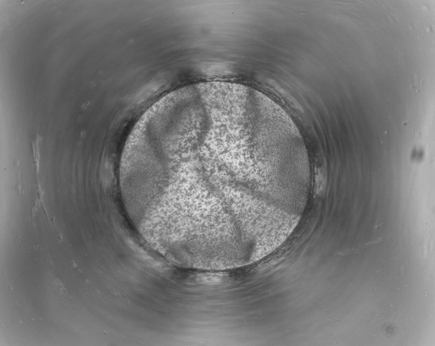 X0000093720618200711131015