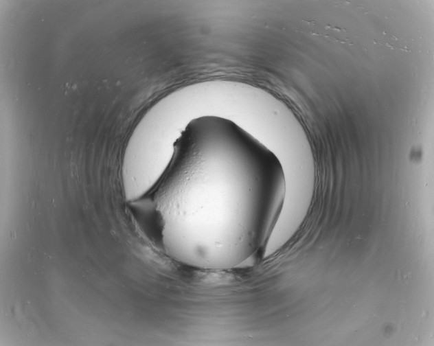 X0000093720621200711131015