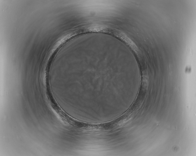 X0000093720626200711131014