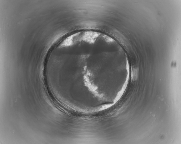 X0000093720627200711131014