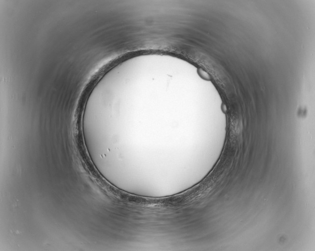 X0000093720628200711131014