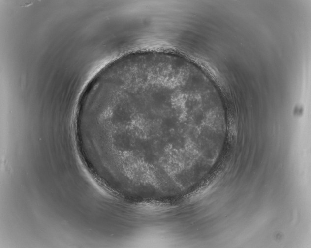 X0000093720630200711131014