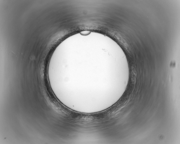 X0000093720631200711131014