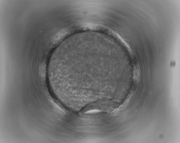 X0000093720637200711131014