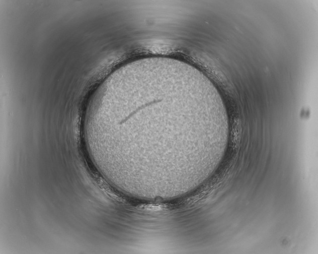 X0000093720639200711131014