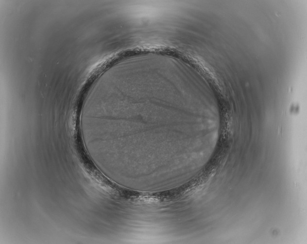 X0000093720640200711131014