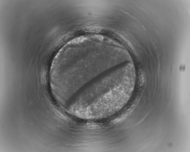 X0000093720641200711131014