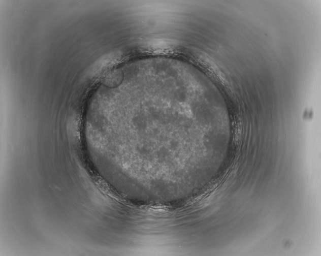 X0000093720643200711131014