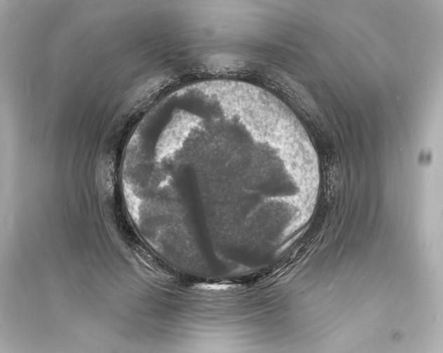 X0000093720644200711131014