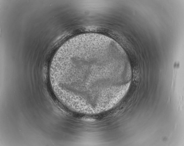 X0000093720648200711131014