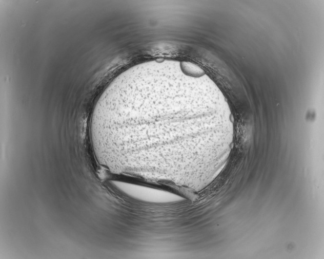 X0000093720652200711131014