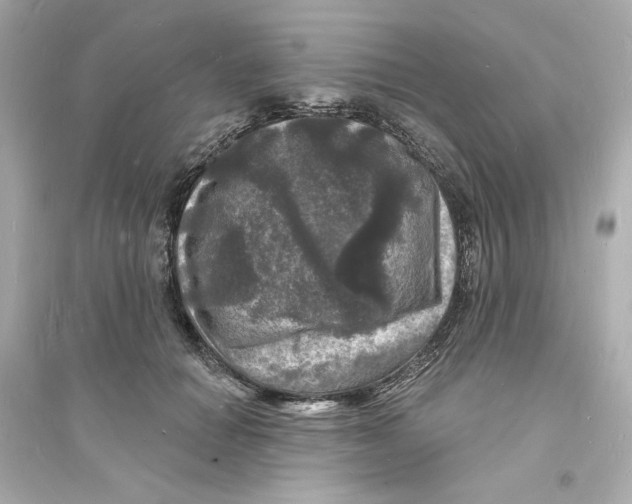 X0000093720654200711131014