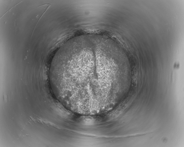 X0000093720658200711131014