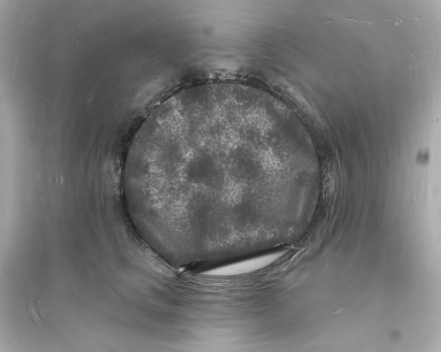 X0000093720661200711131015