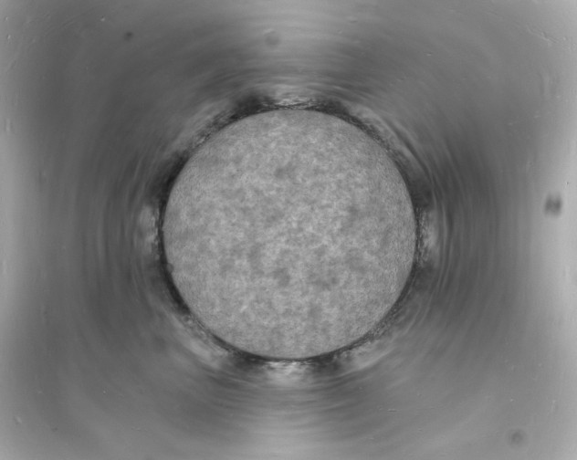 X0000093720667200711131015