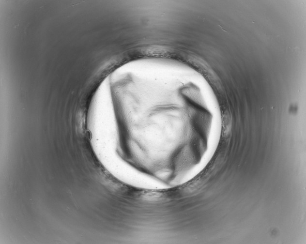 X0000093720669200711131015